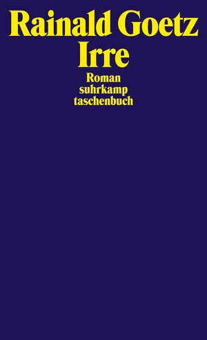 Irre: Roman (suhrkamp taschenbuch)