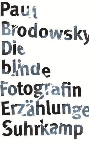 Buchcover Die blinde Fotografin | Paul Brodowsky | EAN 9783518418741 | ISBN 3-518-41874-2 | ISBN 978-3-518-41874-1