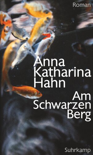 Buchcover Am Schwarzen Berg | Anna Katharina Hahn | EAN 9783518422823 | ISBN 3-518-42282-0 | ISBN 978-3-518-42282-3