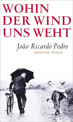 Buchcover Wohin der Wind uns weht | João Ricardo Pedro | EAN 9783518424292 | ISBN 3-518-42429-7 | ISBN 978-3-518-42429-2