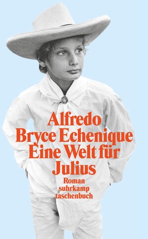 Eine Welt für Julius: Roman (suhrkamp taschenbuch)