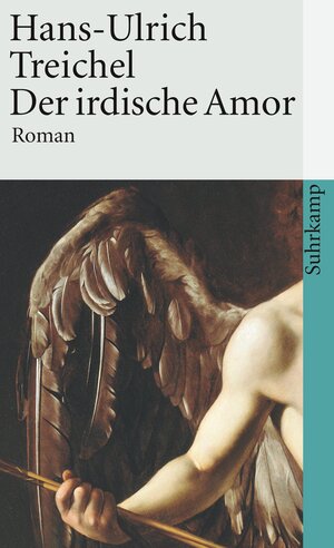 Buchcover Der irdische Amor | Hans-Ulrich Treichel | EAN 9783518456033 | ISBN 3-518-45603-2 | ISBN 978-3-518-45603-3