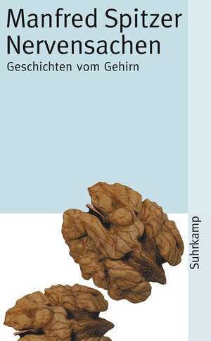 Nervensachen: Geschichten vom Gehirn: Perspektiven zu Geist, Gehirn und Gesellschaft (suhrkamp taschenbuch)