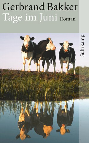 Buchcover Tage im Juni | Gerbrand Bakker | EAN 9783518462515 | ISBN 3-518-46251-2 | ISBN 978-3-518-46251-5