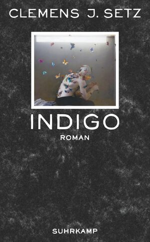 Buchcover Indigo | Clemens J. Setz | EAN 9783518464779 | ISBN 3-518-46477-9 | ISBN 978-3-518-46477-9