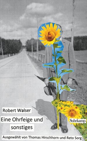 Buchcover Eine Ohrfeige und sonstiges | Robert Walser | EAN 9783518468845 | ISBN 3-518-46884-7 | ISBN 978-3-518-46884-5