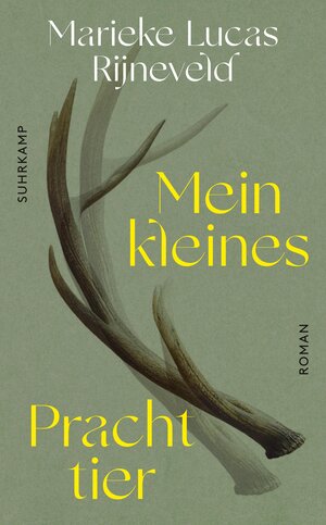 Buchcover Mein kleines Prachttier | Marieke Lucas Rijneveld | EAN 9783518473160 | ISBN 3-518-47316-6 | ISBN 978-3-518-47316-0