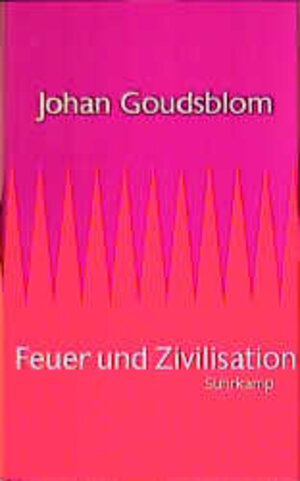 Buchcover Feuer und Zivilisation | Johan Goudsblom | EAN 9783518582107 | ISBN 3-518-58210-0 | ISBN 978-3-518-58210-7