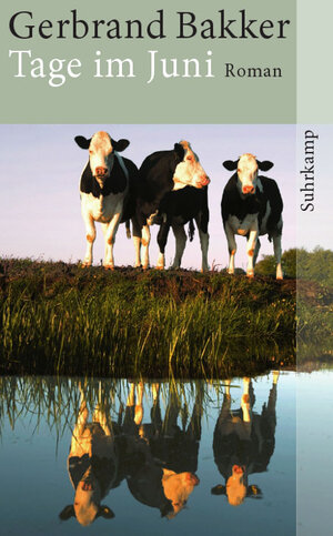 Buchcover Tage im Juni | Gerbrand Bakker | EAN 9783518731116 | ISBN 3-518-73111-4 | ISBN 978-3-518-73111-6