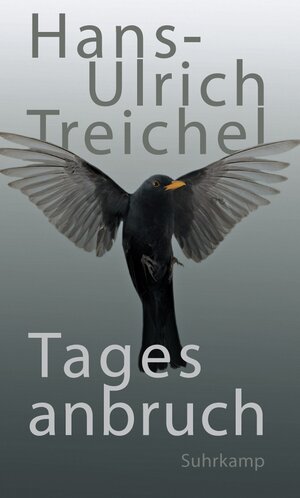 Buchcover Tagesanbruch | Hans-Ulrich Treichel | EAN 9783518745267 | ISBN 3-518-74526-3 | ISBN 978-3-518-74526-7