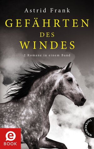 Buchcover Gefährten des Windes | Astrid Frank | EAN 9783522621250 | ISBN 3-522-62125-5 | ISBN 978-3-522-62125-0