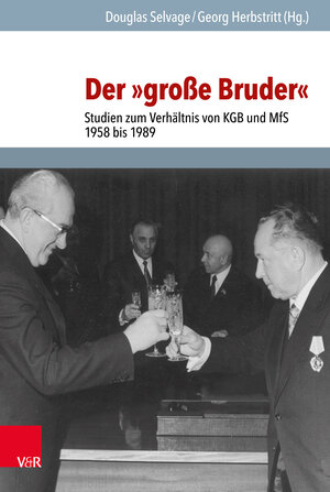 Buchcover Der »große Bruder«  | EAN 9783525317334 | ISBN 3-525-31733-6 | ISBN 978-3-525-31733-4