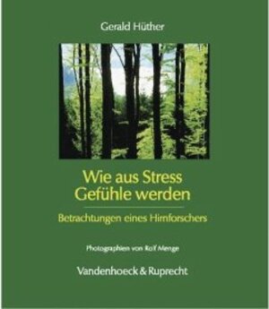 Buchcover Wie aus Stress Gefühle werden | Gerald Hüther | EAN 9783525458389 | ISBN 3-525-45838-X | ISBN 978-3-525-45838-9