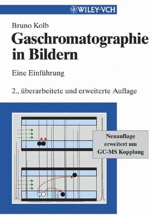 Gaschromatographie in Bildern: Eine Einfhrung (German Edition): Eine Einführung