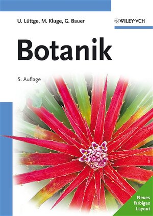 Buchcover Botanik | Ulrich Lüttge | EAN 9783527311798 | ISBN 3-527-31179-3 | ISBN 978-3-527-31179-8