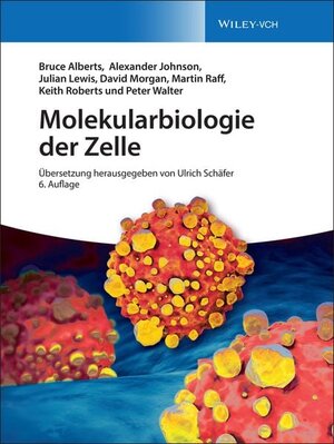 Buchcover Molekularbiologie der Zelle | Bruce Alberts | EAN 9783527340729 | ISBN 3-527-34072-6 | ISBN 978-3-527-34072-9