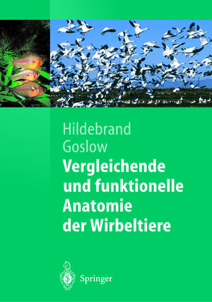 Vergleichende und funktionelle Anatomie der Wirbeltiere (Springer-Lehrbuch)