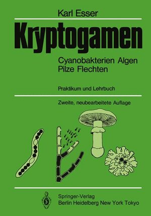 Buchcover Kryptogamen | Karl Esser | EAN 9783540155720 | ISBN 3-540-15572-4 | ISBN 978-3-540-15572-0