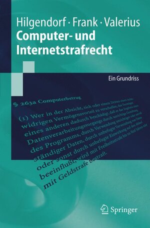 Computer- und Internetstrafrecht: Ein Grundriss (Springer-Lehrbuch)