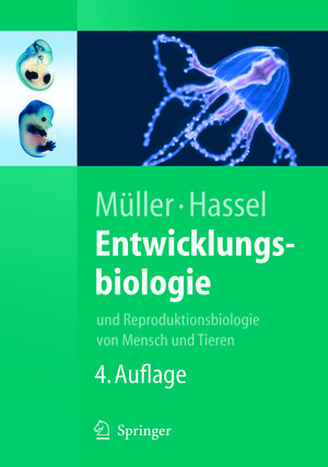 Buchcover Entwicklungsbiologie | Werner A. Müller | EAN 9783540294726 | ISBN 3-540-29472-4 | ISBN 978-3-540-29472-6