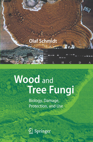 Buchcover Wood and Tree Fungi | Olaf Schmidt | EAN 9783540321392 | ISBN 3-540-32139-X | ISBN 978-3-540-32139-2