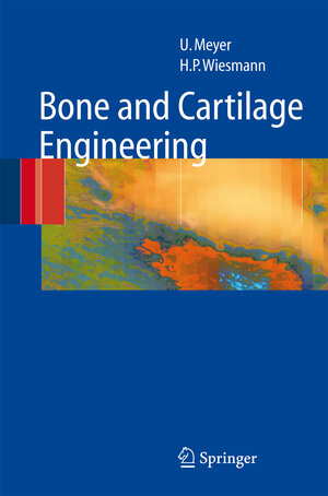 Buchcover Bone and Cartilage Engineering | Ulrich Meyer | EAN 9783540336068 | ISBN 3-540-33606-0 | ISBN 978-3-540-33606-8