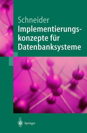 Buchcover Implementierungskonzepte für Datenbanksysteme | Markus Schneider | EAN 9783540419624 | ISBN 3-540-41962-4 | ISBN 978-3-540-41962-4