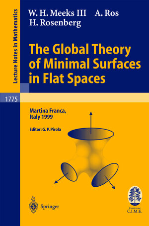 Buchcover The Global Theory of Minimal Surfaces in Flat Spaces | W.H. III Meeks | EAN 9783540431206 | ISBN 3-540-43120-9 | ISBN 978-3-540-43120-6