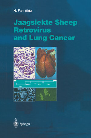 Buchcover Jaagsiekte Sheep Retrovirus and Lung Cancer  | EAN 9783540440963 | ISBN 3-540-44096-8 | ISBN 978-3-540-44096-3