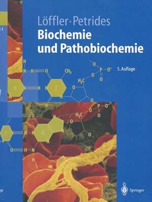 Buchcover Biochemie und Pathobiochemie | Georg Löffler | EAN 9783540590064 | ISBN 3-540-59006-4 | ISBN 978-3-540-59006-4