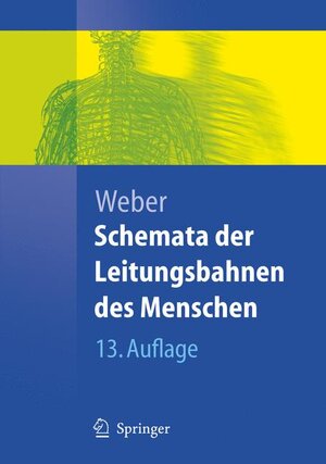 Schemata der Leitungsbahnen des Menschen