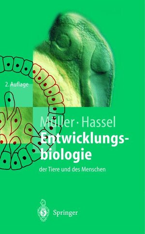 Buchcover Entwicklungsbiologie der Tiere und des Menschen | Werner A. Müller | EAN 9783540658672 | ISBN 3-540-65867-X | ISBN 978-3-540-65867-2
