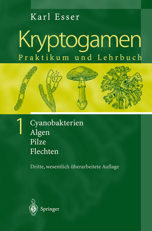 Buchcover Kryptogamen 1 | Karl Esser | EAN 9783540664512 | ISBN 3-540-66451-3 | ISBN 978-3-540-66451-2