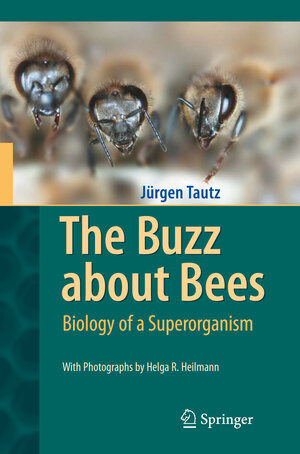 Buchcover The Buzz about Bees | Jürgen Tautz | EAN 9783540787273 | ISBN 3-540-78727-5 | ISBN 978-3-540-78727-3