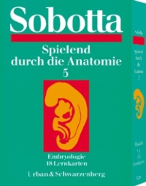 Spielend durch die Anatomie, Lernkarten, Tl.5, Embryologie, 48 Lernkarten