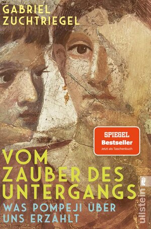 Buchcover Vom Zauber des Untergangs | Gabriel Zuchtriegel | EAN 9783548069913 | ISBN 3-548-06991-6 | ISBN 978-3-548-06991-3