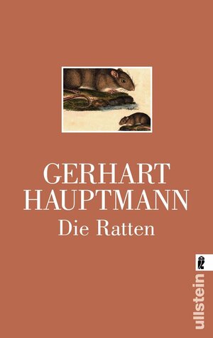 Buchcover Die Ratten | Gerhart Hauptmann | EAN 9783548235639 | ISBN 3-548-23563-8 | ISBN 978-3-548-23563-9