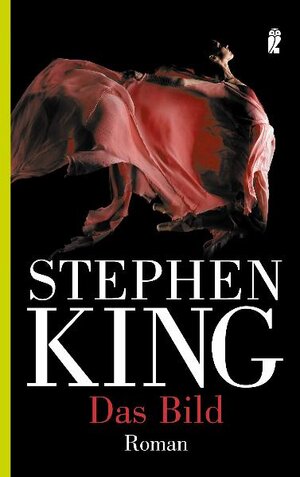 Buchcover Das Bild | Stephen King | EAN 9783548263335 | ISBN 3-548-26333-X | ISBN 978-3-548-26333-5