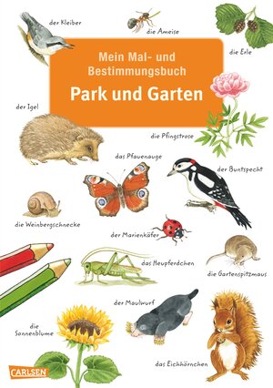 Buchcover Mein Mal- und Bestimmungsbuch - Park und Garten | Imke Rudel | EAN 9783551186201 | ISBN 3-551-18620-0 | ISBN 978-3-551-18620-1