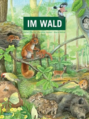 Buchcover Im Wald | Bärbel Oftring | EAN 9783551254610 | ISBN 3-551-25461-3 | ISBN 978-3-551-25461-0