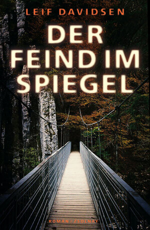 Der Feind im Spiegel: Roman