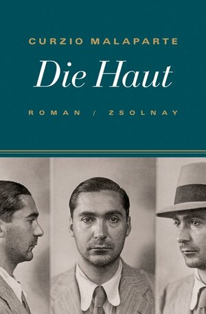 Die Haut: Roman