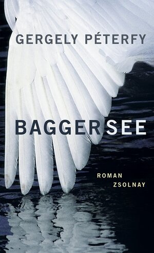Buchcover Baggersee | Gergely Péterfy | EAN 9783552054301 | ISBN 3-552-05430-8 | ISBN 978-3-552-05430-1
