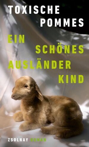 Buchcover Ein schönes Ausländerkind | Toxische Pommes | EAN 9783552074101 | ISBN 3-552-07410-4 | ISBN 978-3-552-07410-1