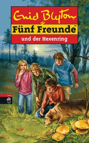 Buchcover Fünf Freunde und der Hexenring | Enid Blyton | EAN 9783570131718 | ISBN 3-570-13171-8 | ISBN 978-3-570-13171-8