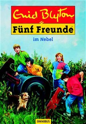 Fünf Freunde. Spannende Geschichten für Jungen und Mädchen: Fünf Freunde 17. Fünf Freunde im Nebel.: BD 17