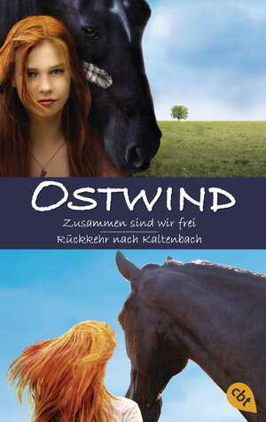 Buchcover Ostwind | Carola Wimmer | EAN 9783570313770 | ISBN 3-570-31377-8 | ISBN 978-3-570-31377-0