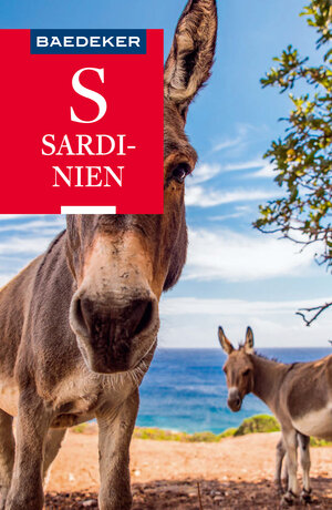 Buchcover Baedeker Reiseführer Sardinien | Manfred Wöbcke | EAN 9783575420978 | ISBN 3-575-42097-1 | ISBN 978-3-575-42097-8