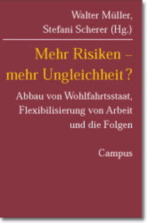 Mehr Risiken - Mehr Ungleichheit?: Abbau von Wohlfahrtsstaat, Flexibilisierung von Arbeit und die Folgen (Mannheimer Jahrbuch für Europäische Sozialforschung)