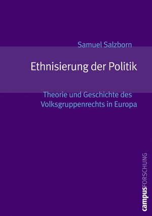 Buchcover Ethnisierung der Politik | Samuel Salzborn | EAN 9783593378794 | ISBN 3-593-37879-5 | ISBN 978-3-593-37879-4